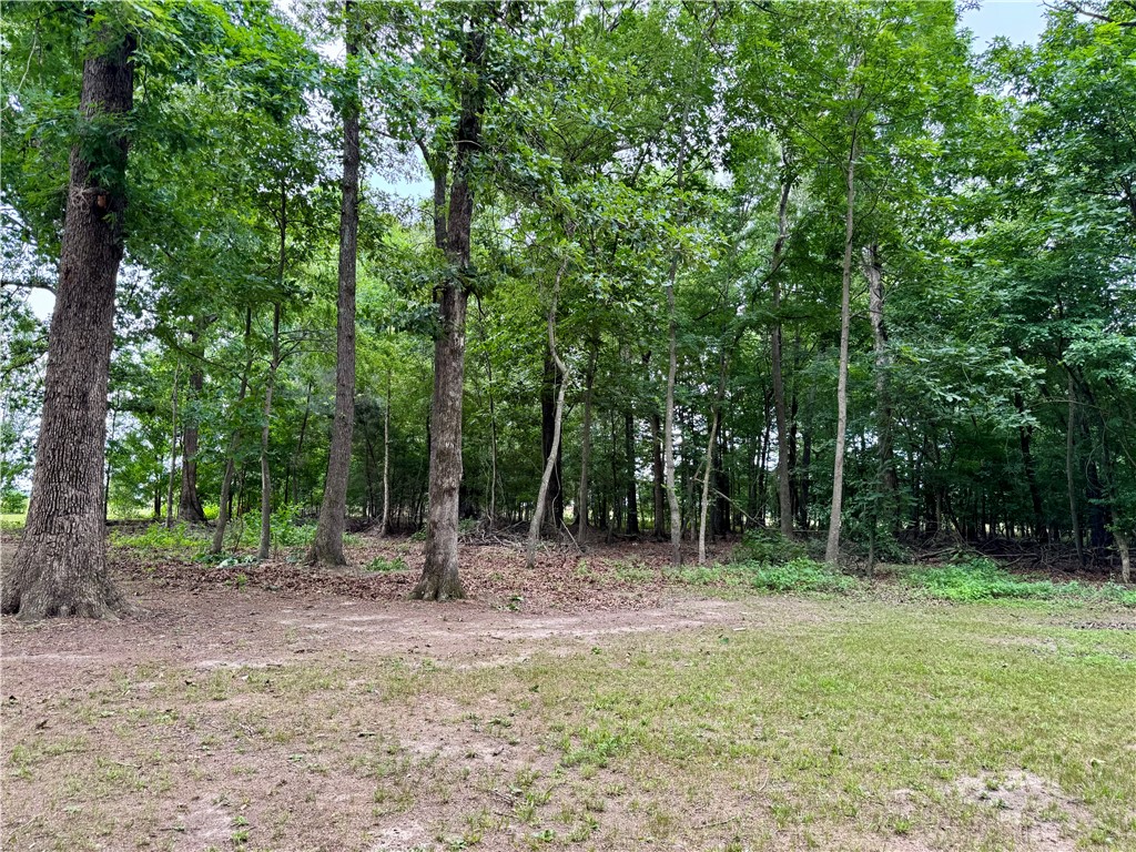 411 Frank Senko Road Griffithville, AR 72060 - Photo 8 of 31 Gallery Image 8
