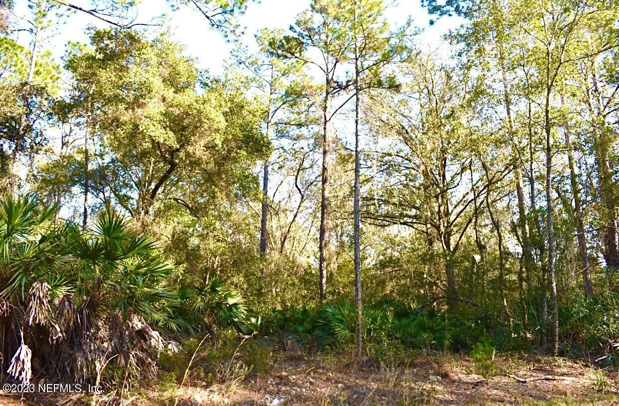 102 Sycamore Georgetown, FL 32139 - Photo 12 of 21 102 Sycamore Ave, Georgetown Fl (5)