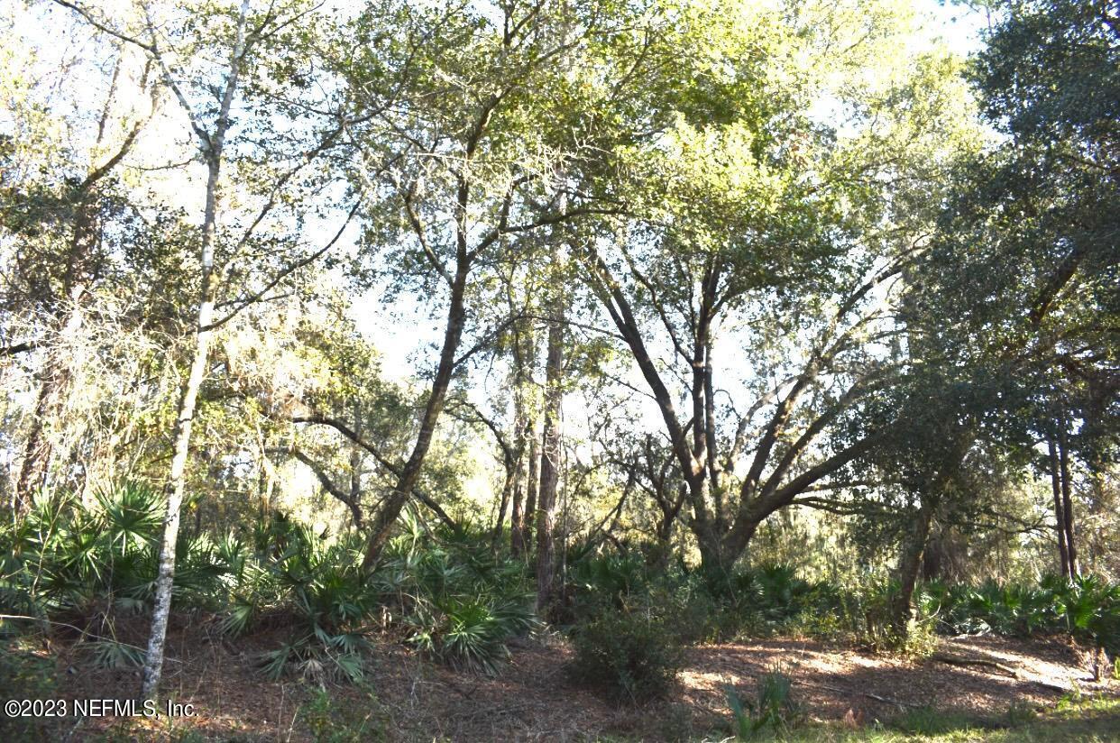 102 Sycamore Georgetown, FL 32139 - Photo 13 of 21 102 Sycamore Ave, Georgetown Fl (6)