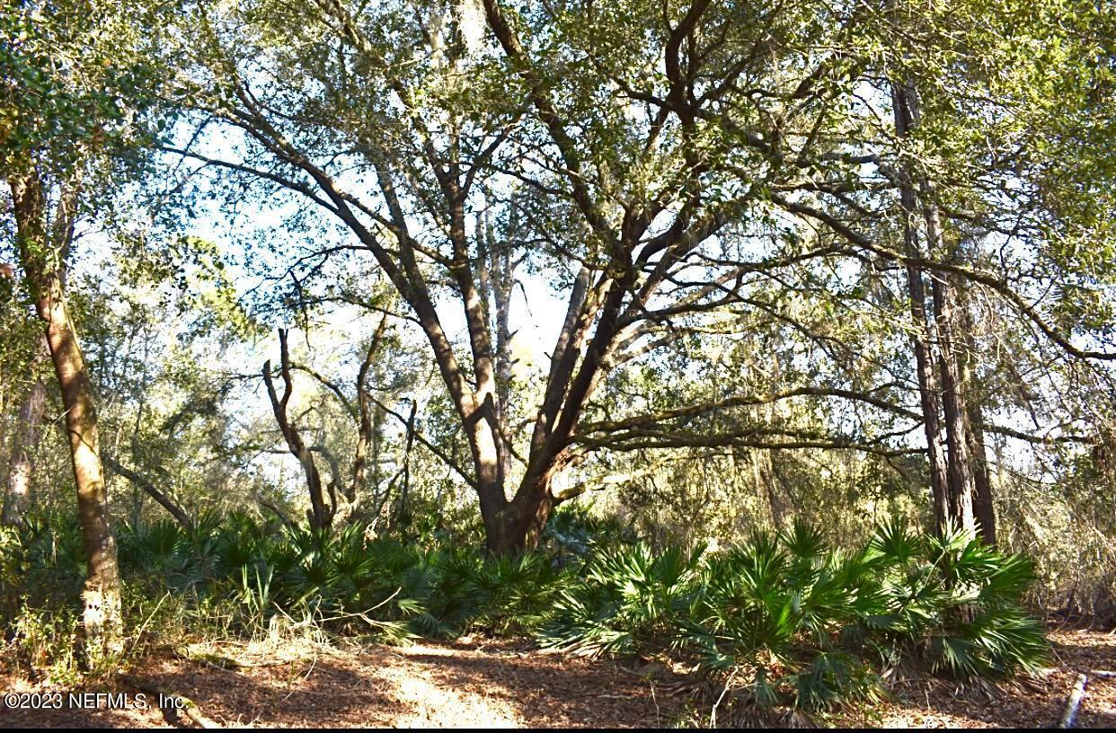 102 Sycamore Georgetown, FL 32139 - Photo 14 of 21 102 Sycamore Ave, Georgetown Fl (7)
