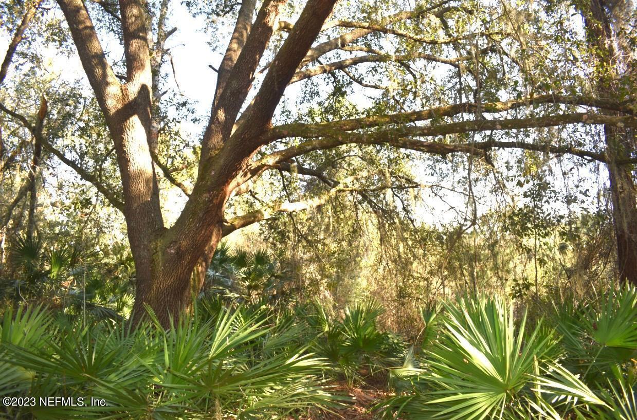 102 Sycamore Georgetown, FL 32139 - Photo 15 of 21 102 Sycamore Ave, Georgetown Fl (8)
