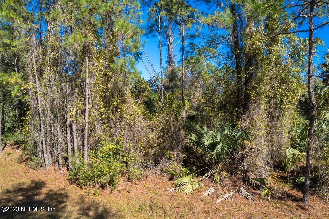 102 Sycamore Georgetown, FL 32139 - Photo 17 of 21 102 Sycamore Ave, Georgetown Fl (18)