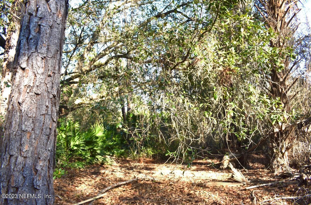 102 Sycamore Georgetown, FL 32139 - Photo 18 of 21 102 Sycamore Ave, Georgetown Fl (9)