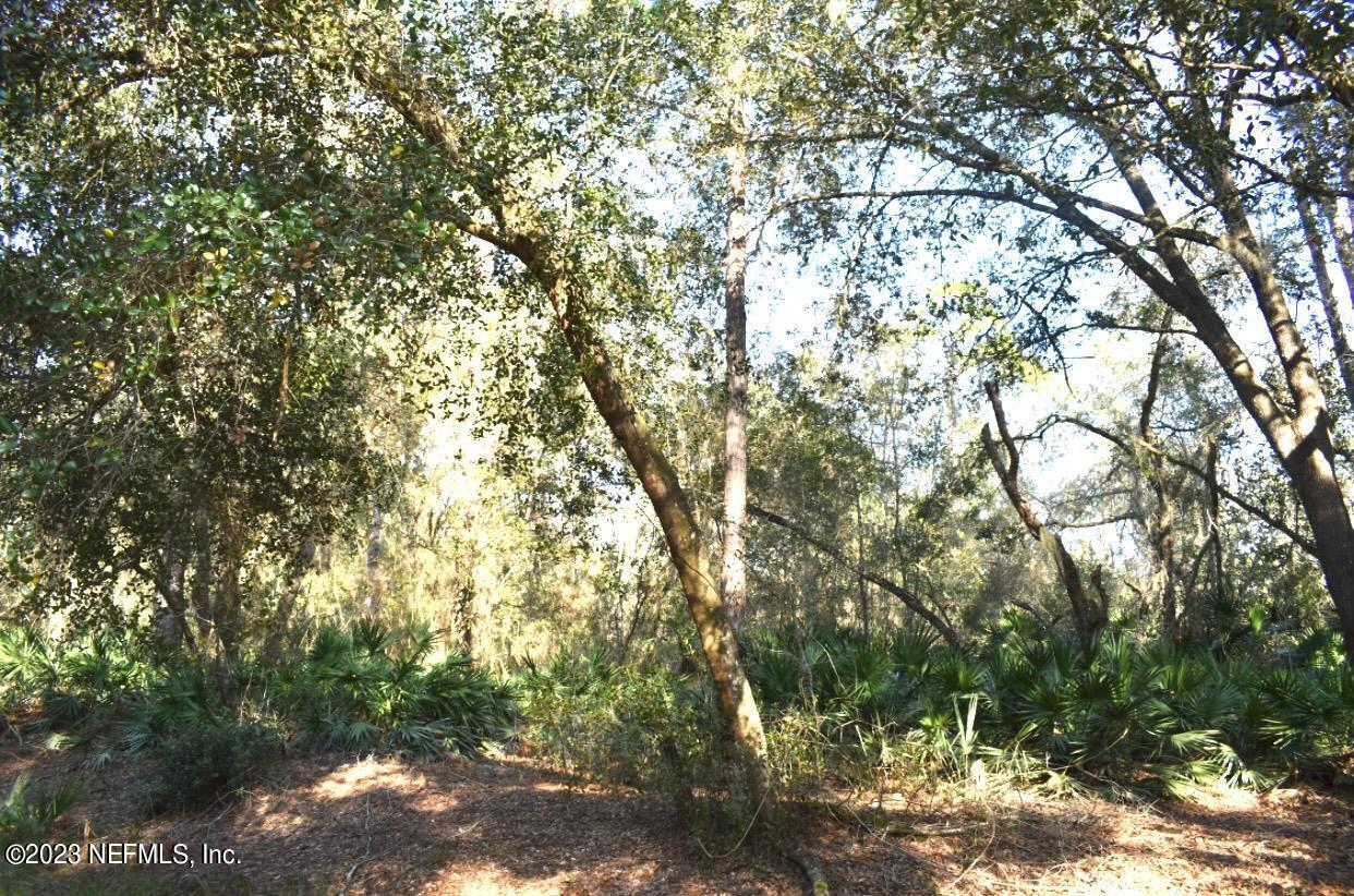102 Sycamore Georgetown, FL 32139 - Photo 19 of 21 102 Sycamore Ave, Georgetown Fl (10)