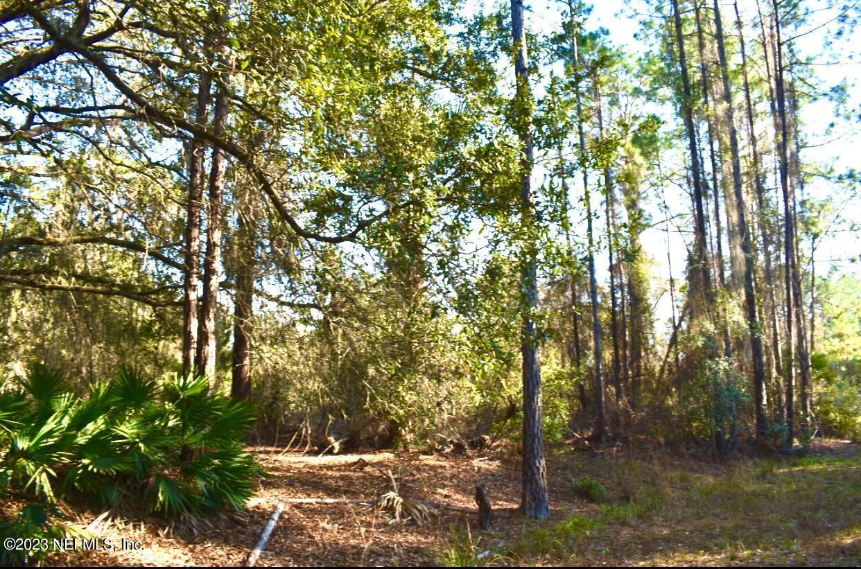 102 Sycamore Georgetown, FL 32139 - Photo 20 of 21 102 Sycamore Ave, Georgetown Fl (12)