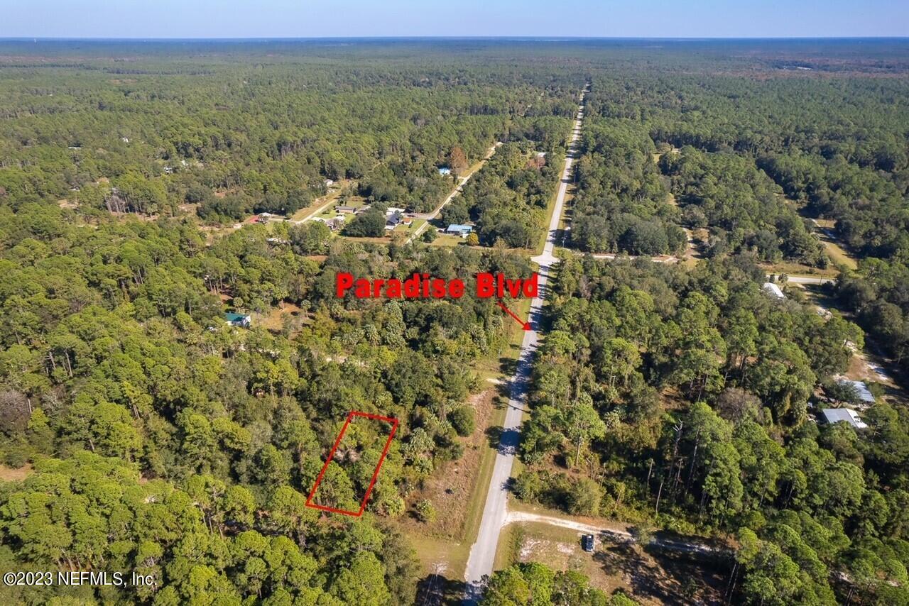 102 Sycamore Georgetown, FL 32139 - Photo 8 of 21 102 Sycamore Ave