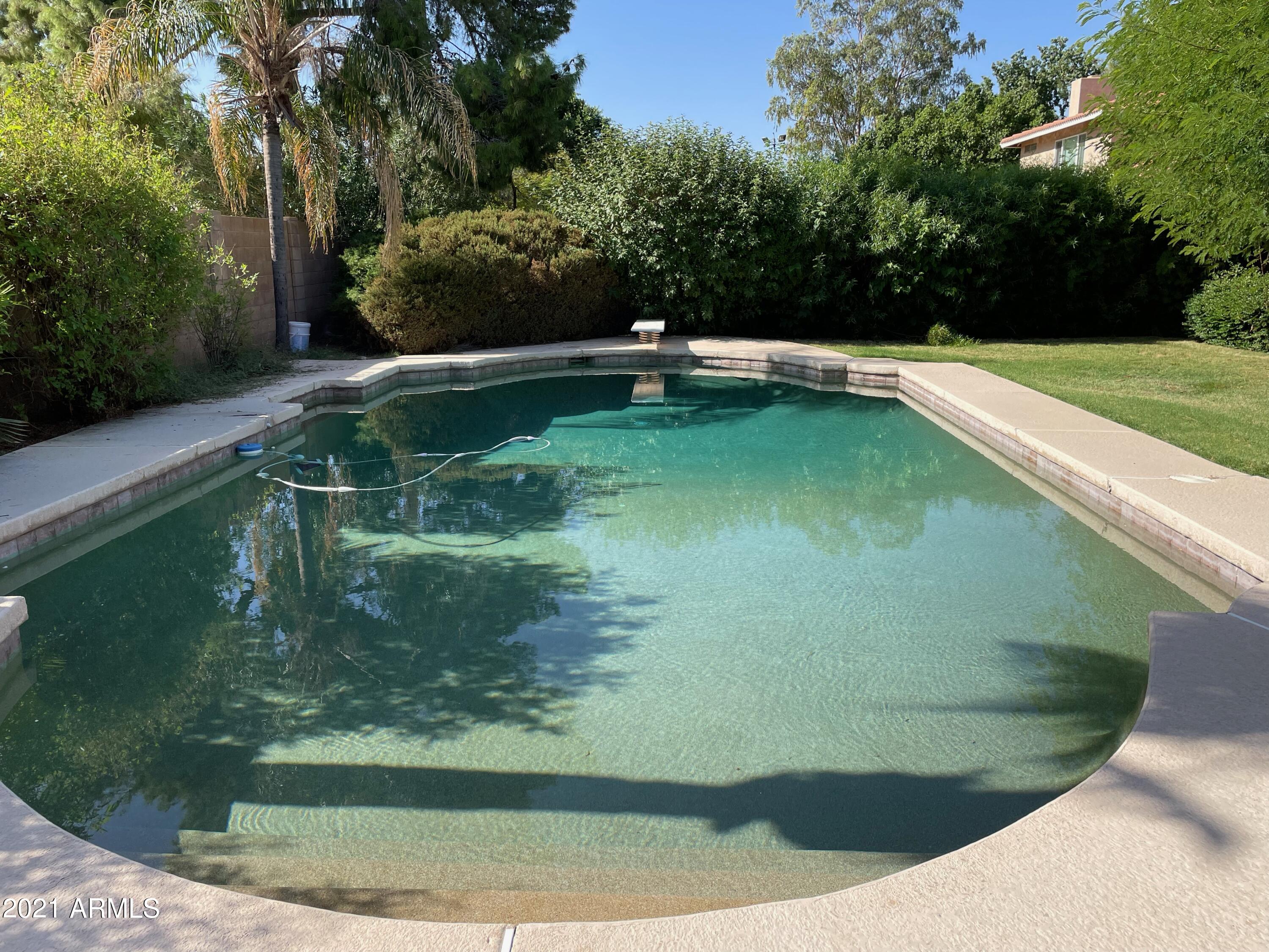 2461 West Hearn Road Phoenix, AZ 85023 - Photo 2 of 26 Diving Pool