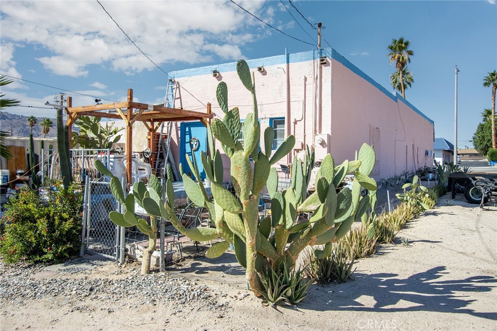 5929 Adobe Road Twentynine Palms, CA 92277 - Photo 31 of 33 a view of a potted plants on a sidewalk