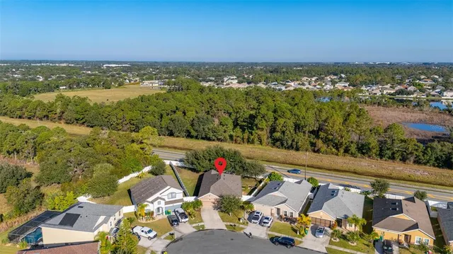 a potted plant sitting in front of a house