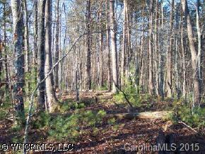 31 South Cove Road Mill Spring, NC 28756 - Photo 2 of 4 a view of outdoor space with lots of trees