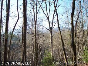 31 South Cove Road Mill Spring, NC 28756 - Photo 3 of 4 a view of forest