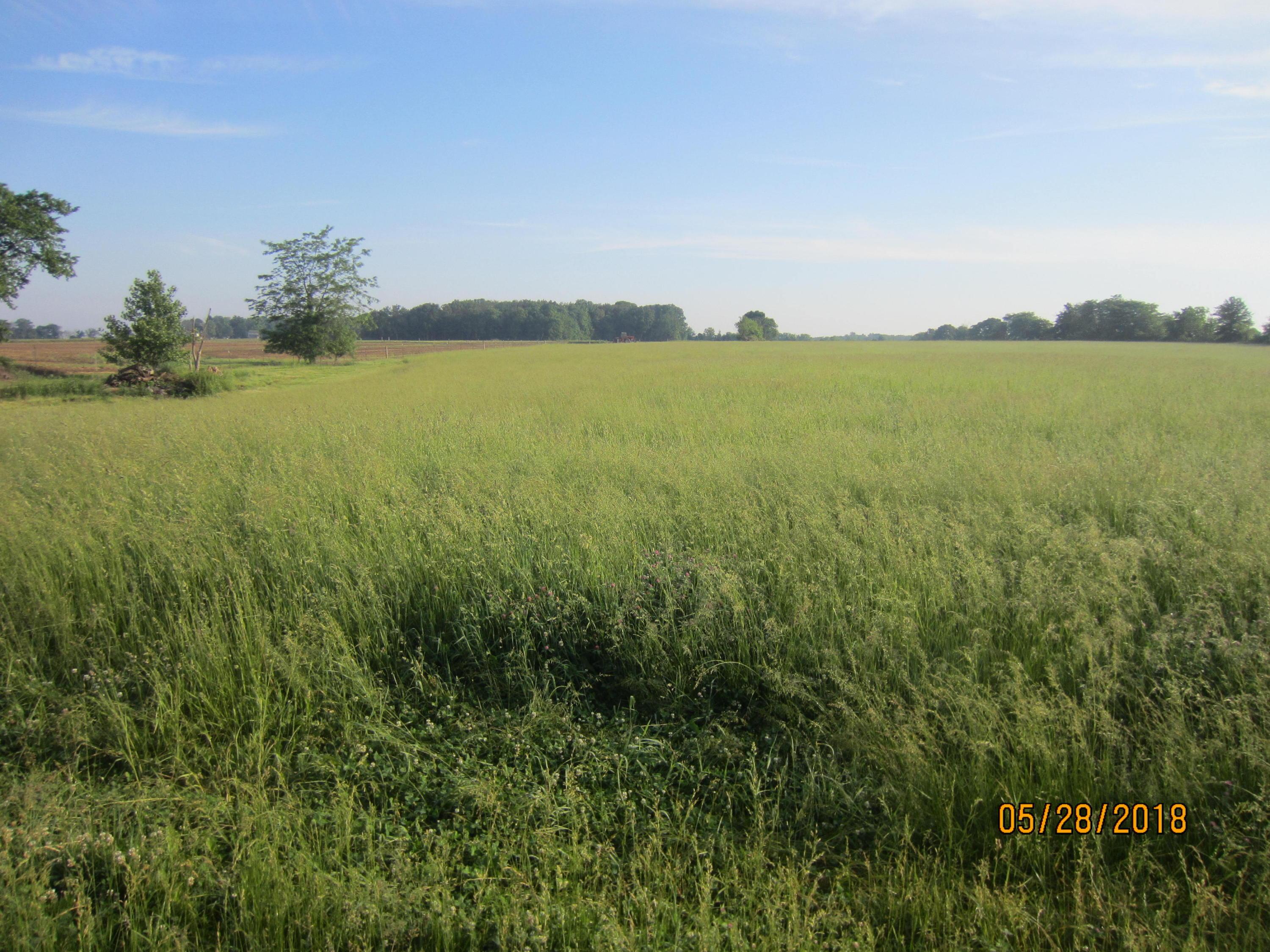 10258 Hayesville Road Kingston, OH 45644 - Photo 14 of 27 Gallery Image 14