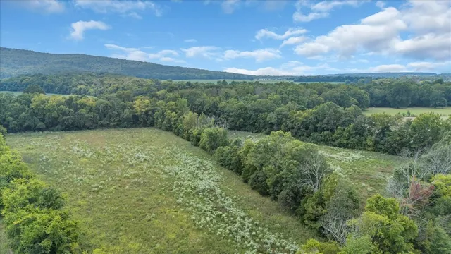 a view of a big yard with lots of green space