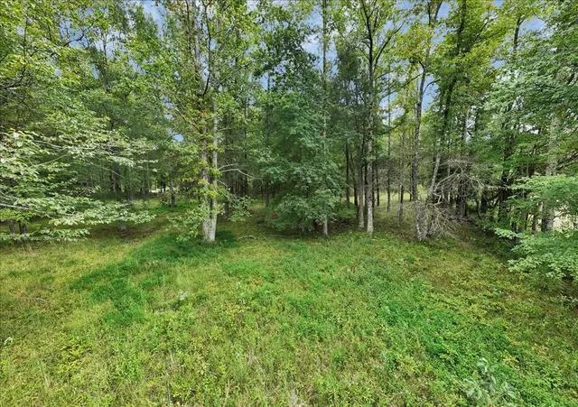 a view of outdoor space and yard