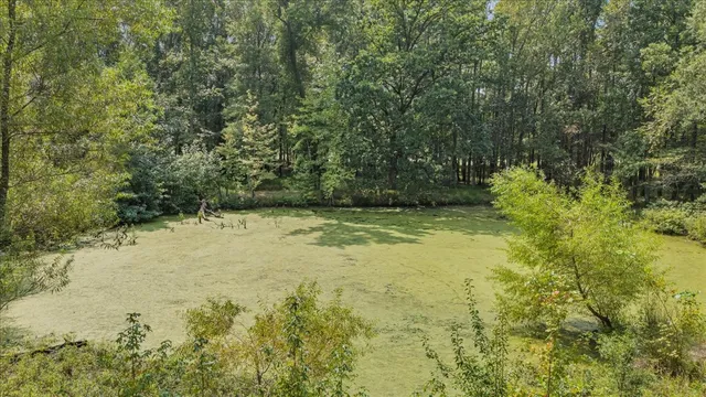 a view of backyard with green space