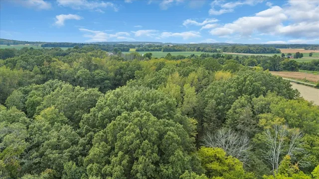 a view of a green field with lots of bushes