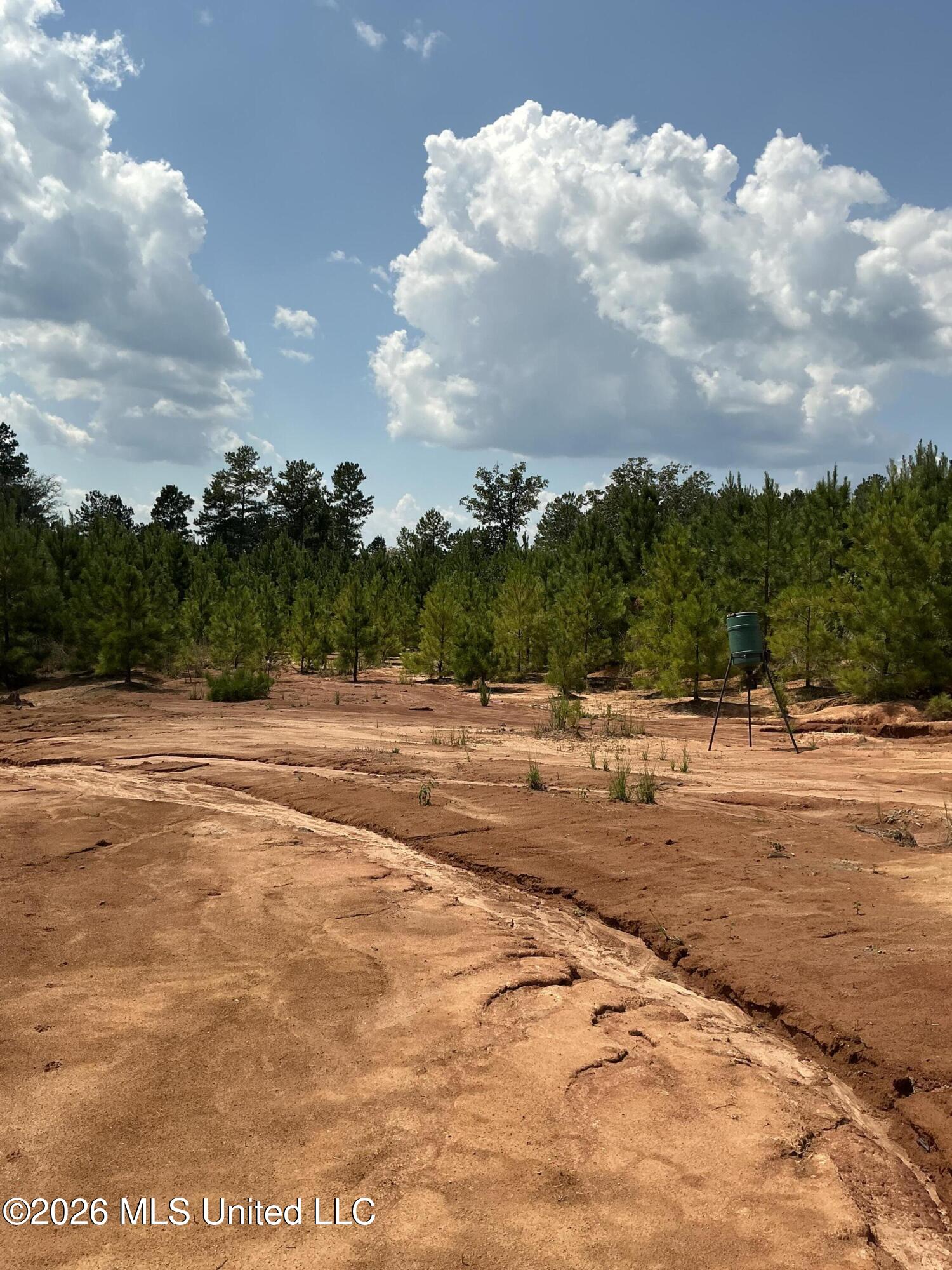 Smithtown Road Tylertown, MS 39667 - Photo 2 of 18 IMG_0023