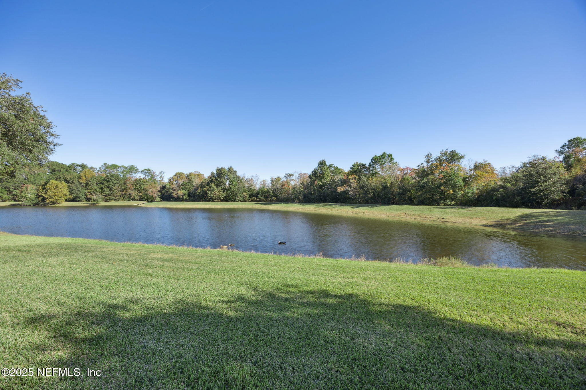 1385 Perth Road Jacksonville, FL 32221 - Photo 42 of 63 42-web-or-mls-1385 Perth Rd (12 of 58)
