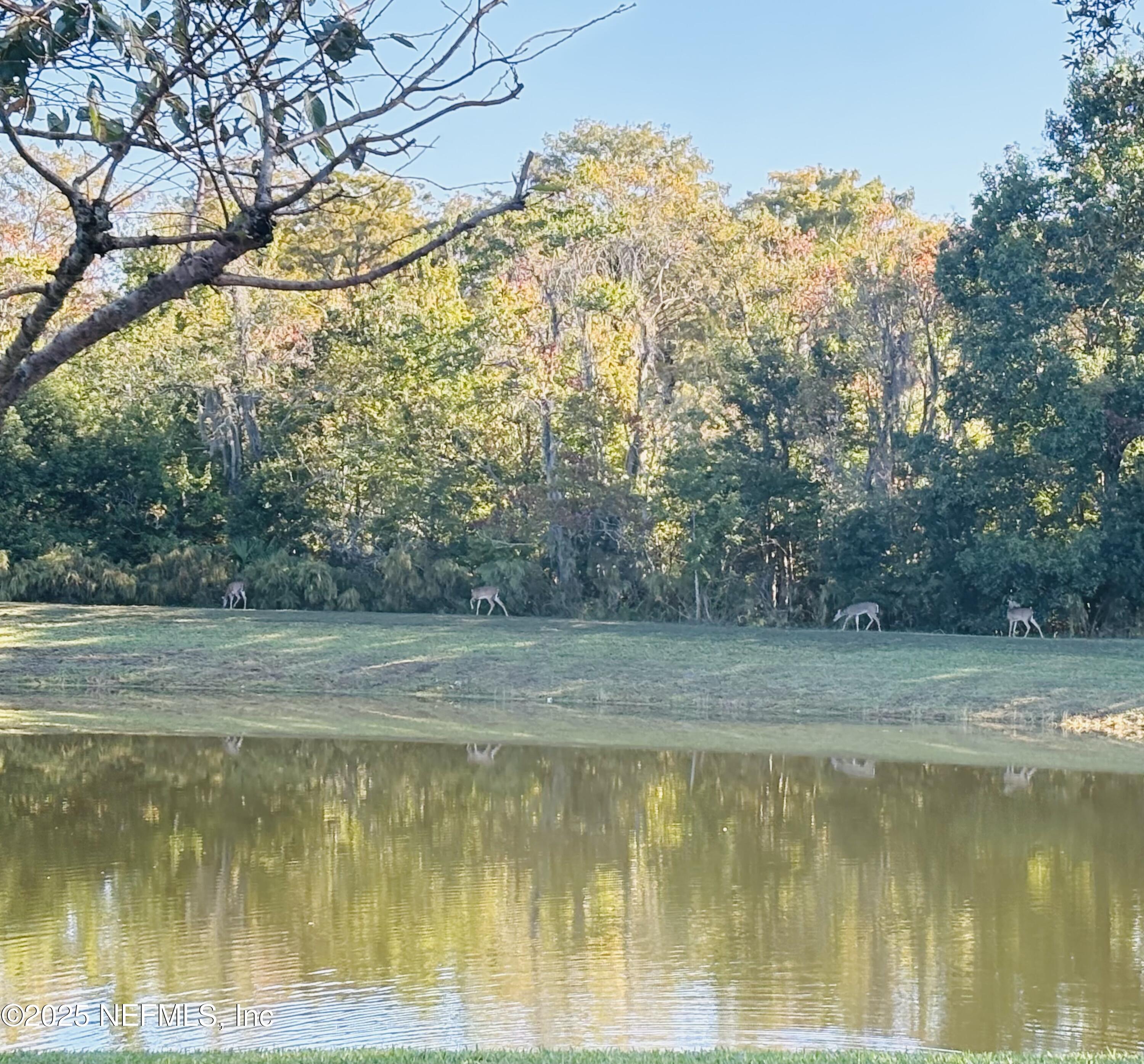 1385 Perth Road Jacksonville, FL 32221 - Photo 63 of 63 IMG_4096