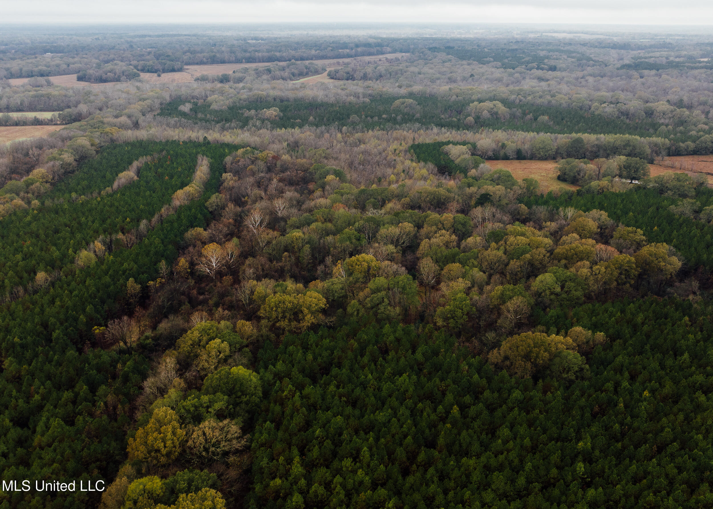 745 Black Jack Road Vaughan, MS 39179 - Photo 3 of 50 176 Yazoo Pics-6