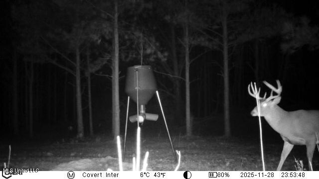 745 Black Jack Road Vaughan, MS 39179 - Photo 45 of 50 11_28_2025_23_53_48_3272443804