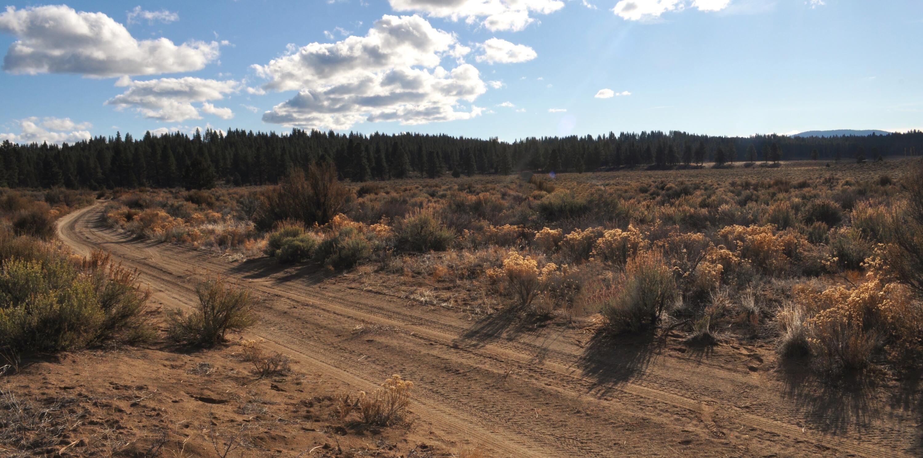 0 Tableland Road, Unit 1400 & 1500 Chiloquin, OR 97624 - Photo 9 of 16 South 3