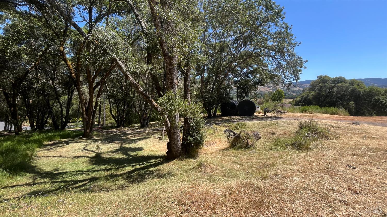 13560 Ornbaun Road Boonville, CA 95415 - Photo 6 of 9 Oak Trees