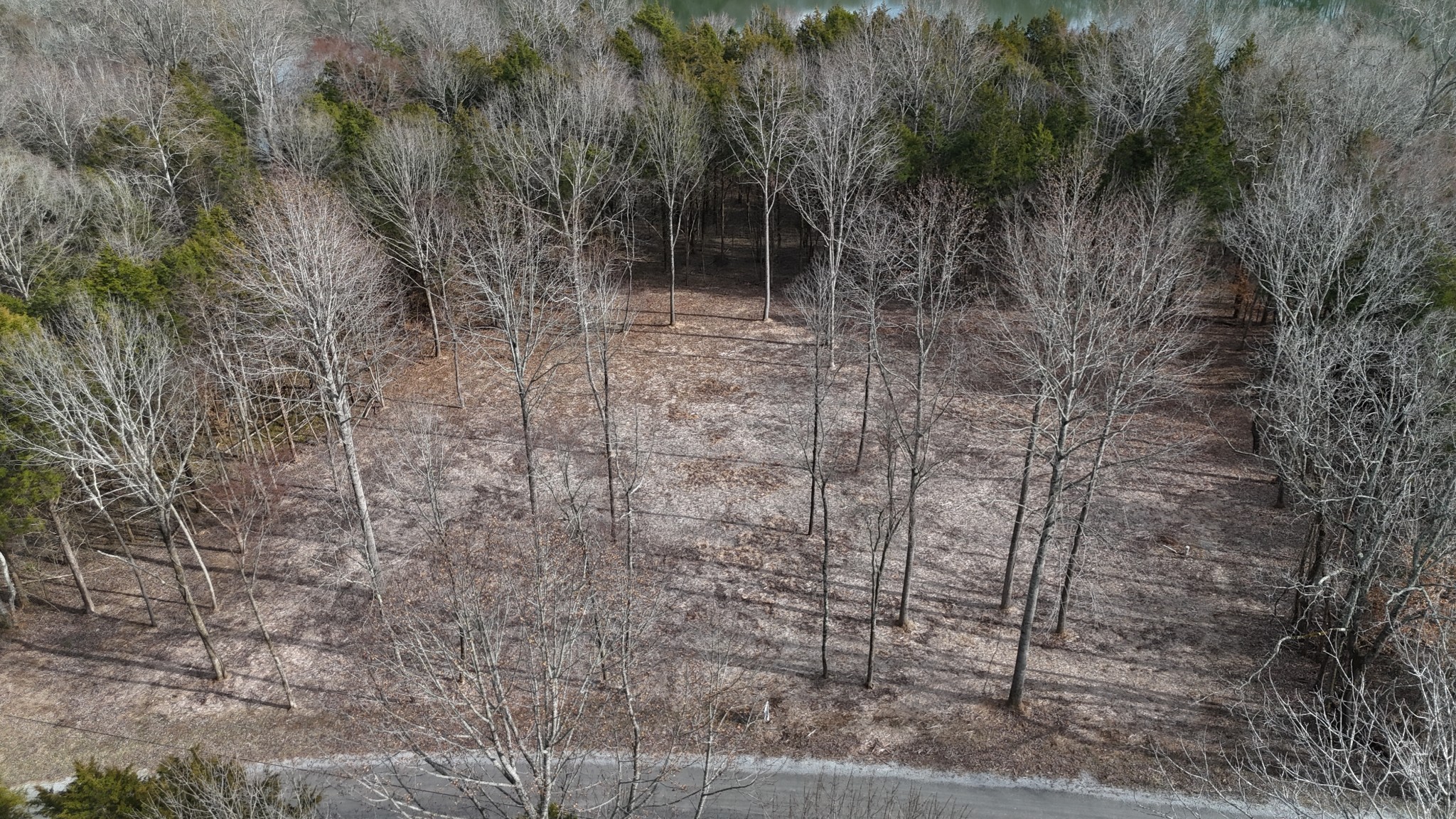 0 Bedford Lake Road Normandy, TN 37360 - Photo 12 of 21