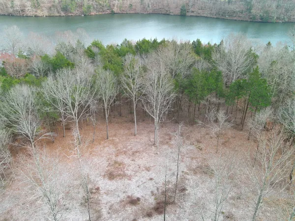a view of a yard with a house