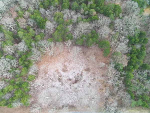 a view of a yard with a house