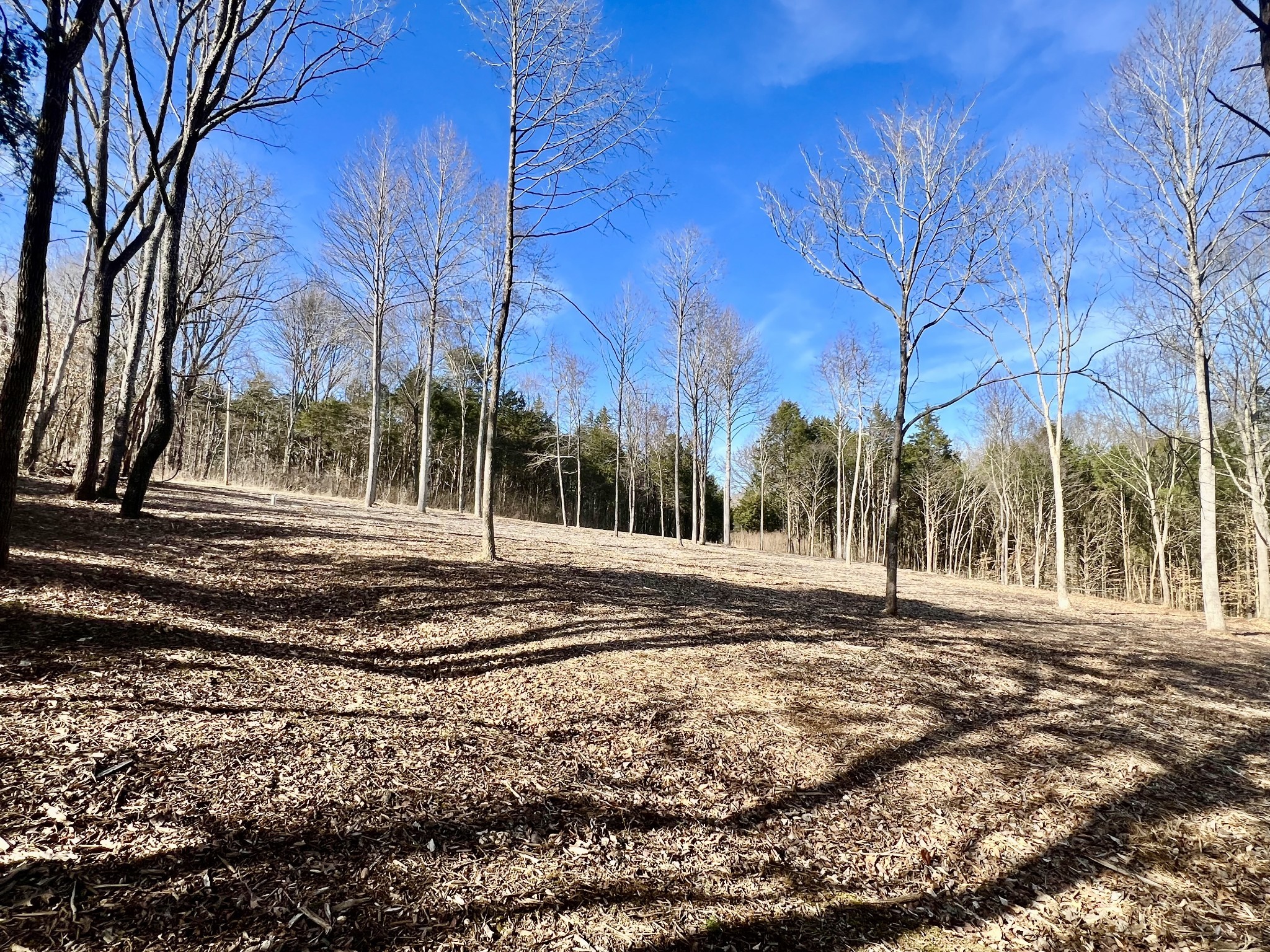 0 Bedford Lake Road Normandy, TN 37360 - Photo 17 of 34