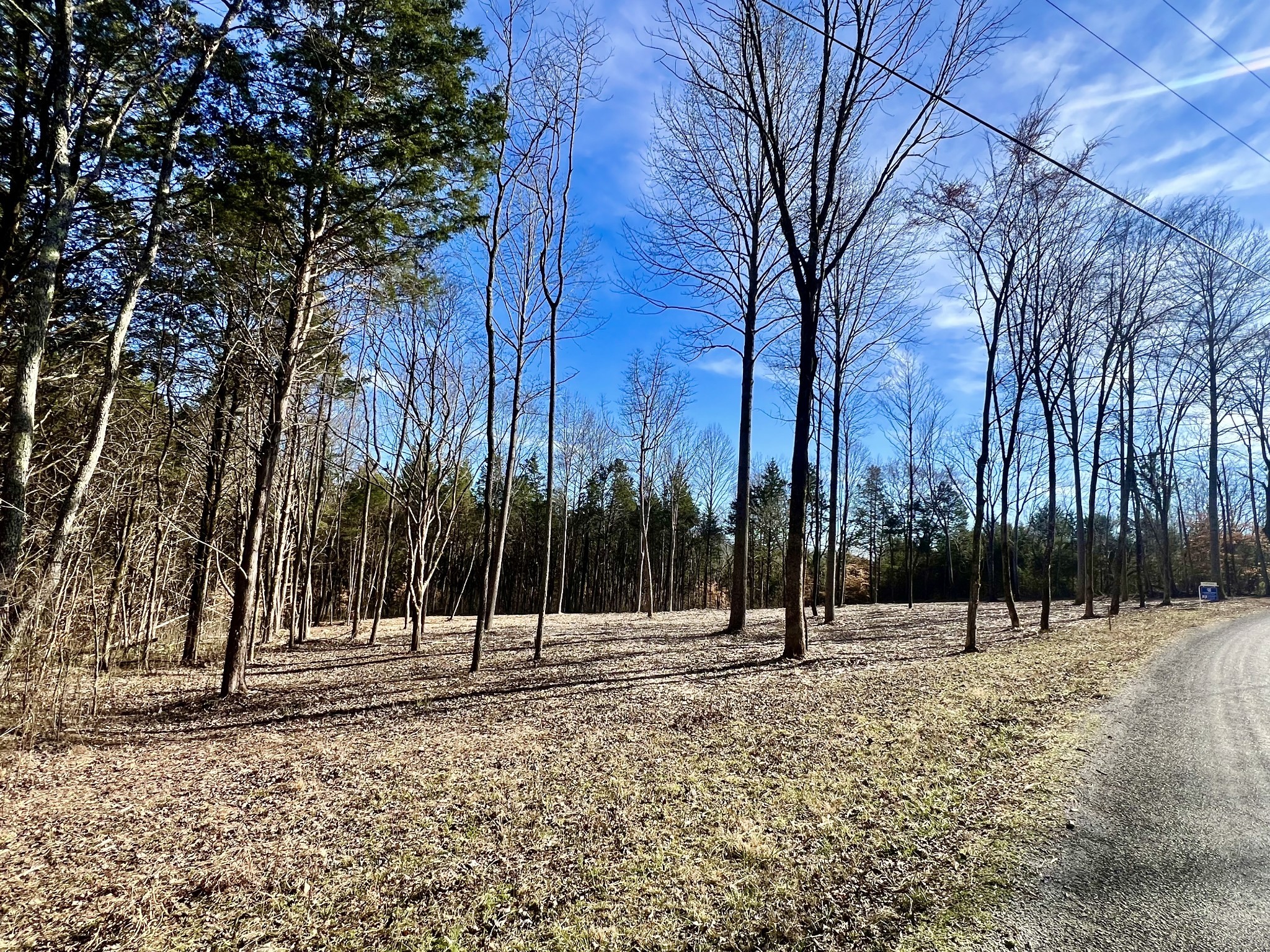 0 Bedford Lake Road Normandy, TN 37360 - Photo 17 of 21