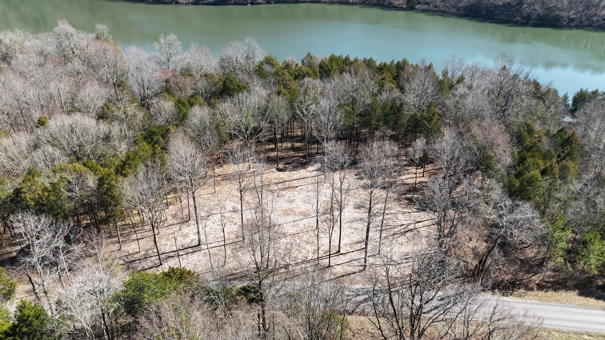0 Bedford Lake Road Normandy, TN 37360 - Photo 18 of 34