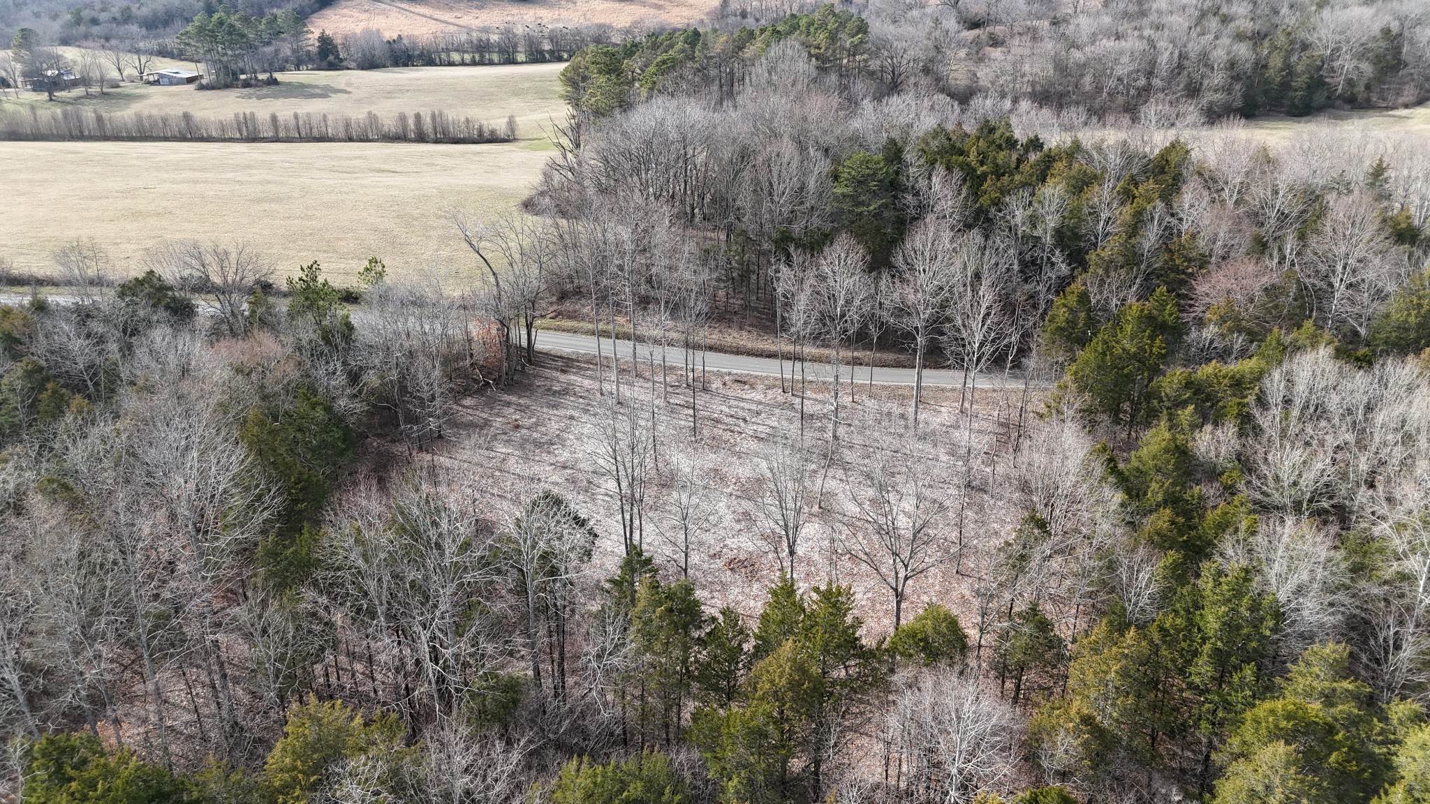 0 Bedford Lake Road Normandy, TN 37360 - Photo 20 of 34