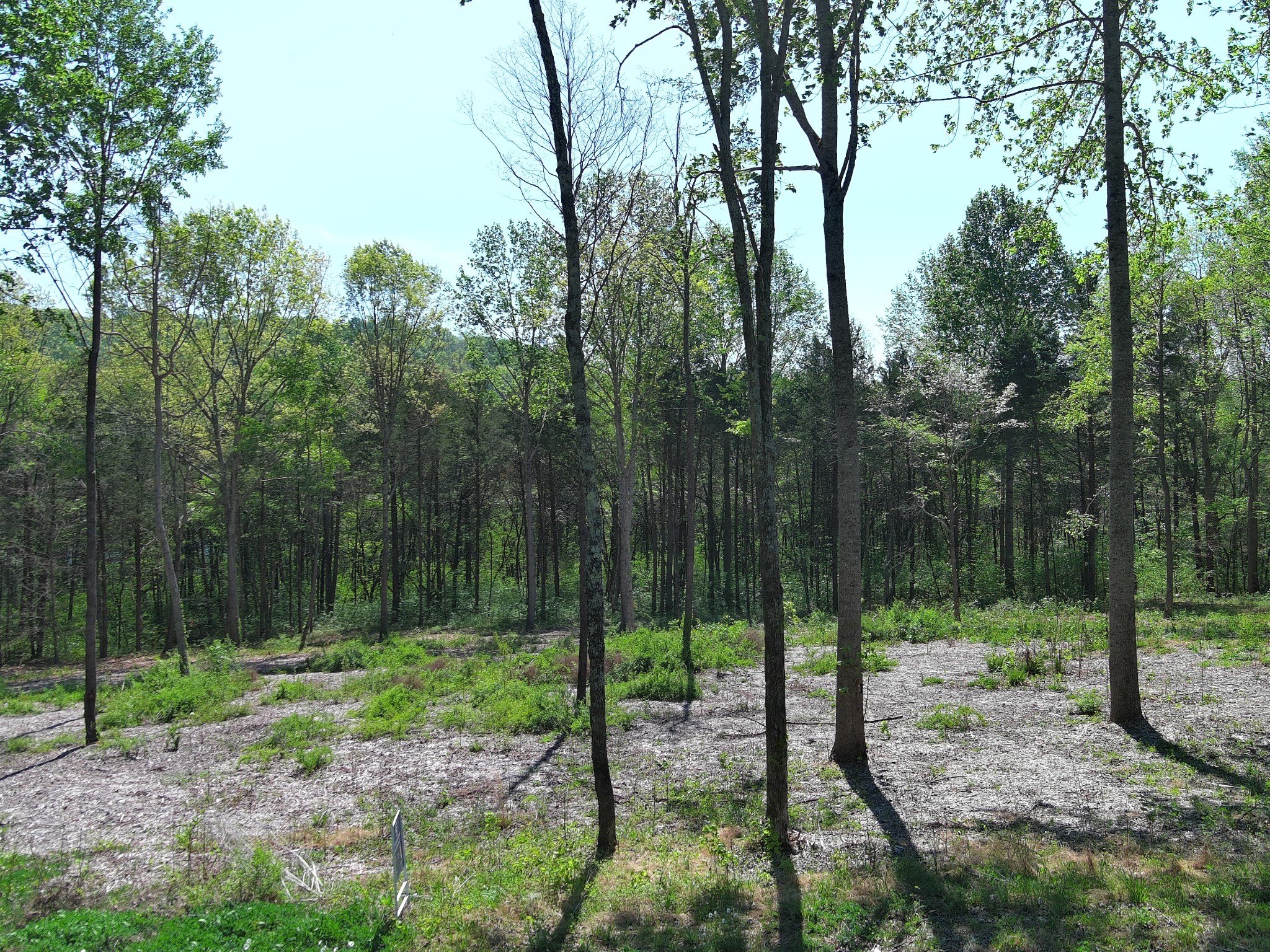 0 Bedford Lake Road Normandy, TN 37360 - Photo 2 of 34