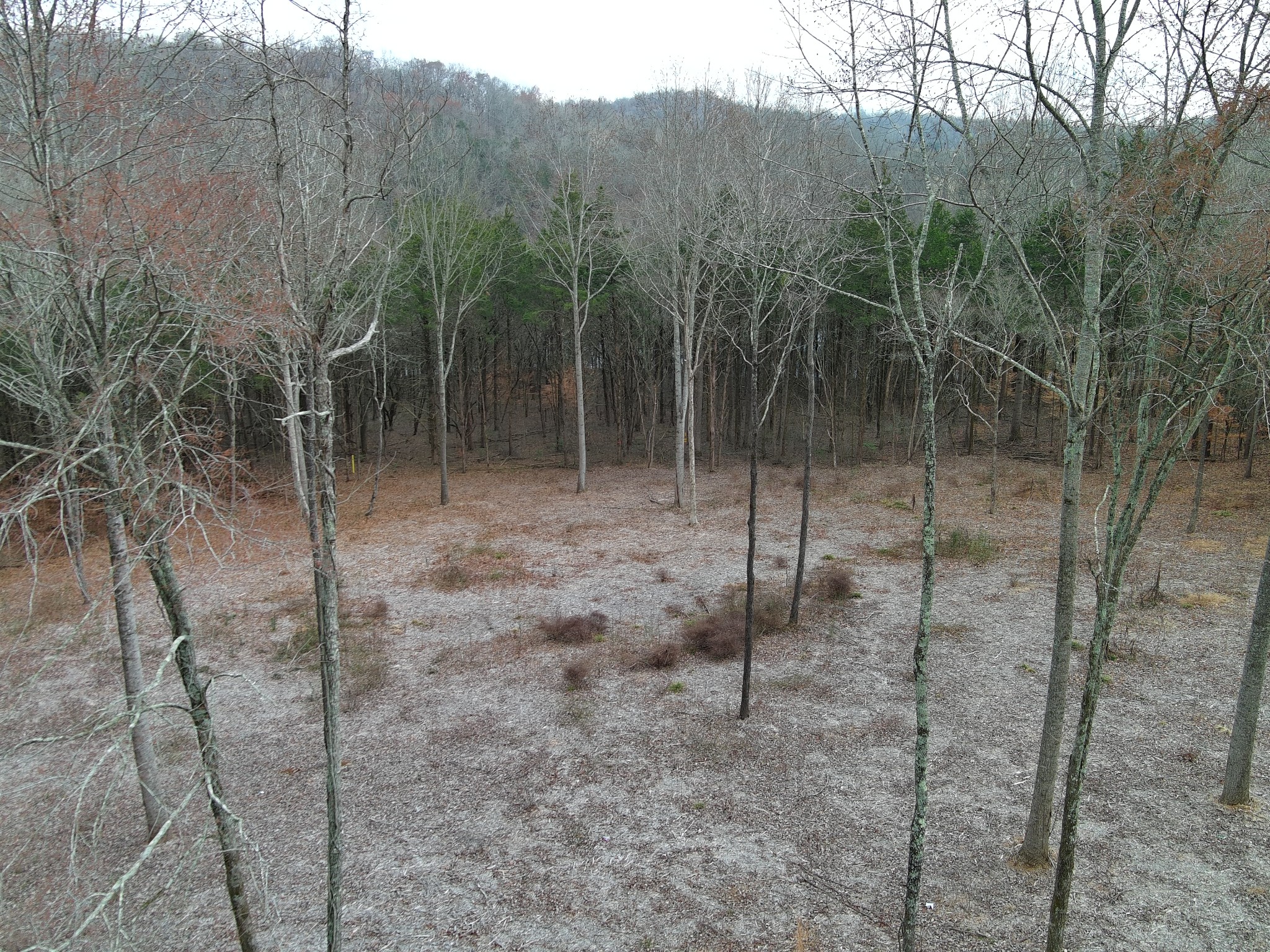 0 Bedford Lake Road Normandy, TN 37360 - Photo 21 of 34