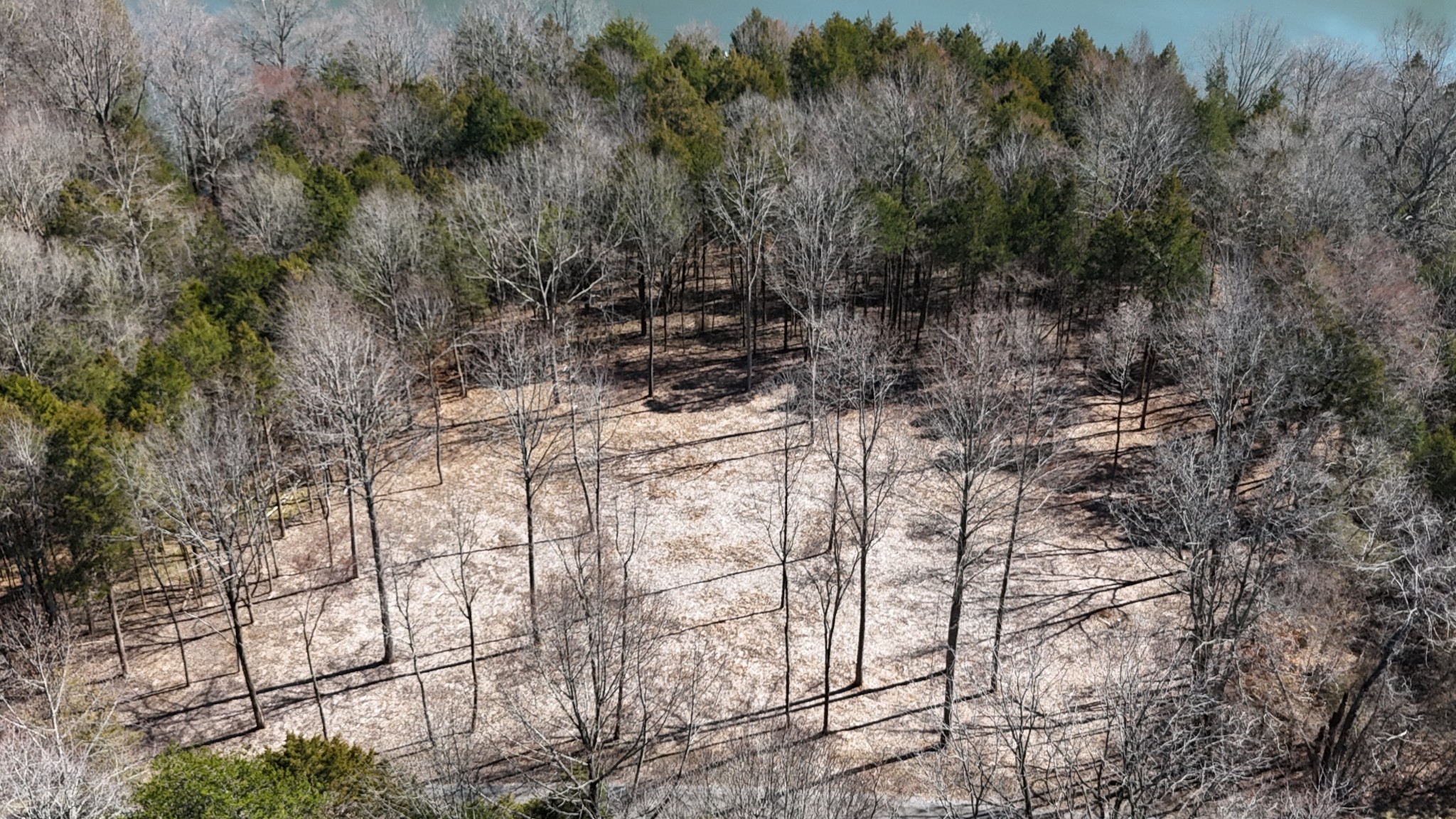 0 Bedford Lake Road Normandy, TN 37360 - Photo 22 of 34
