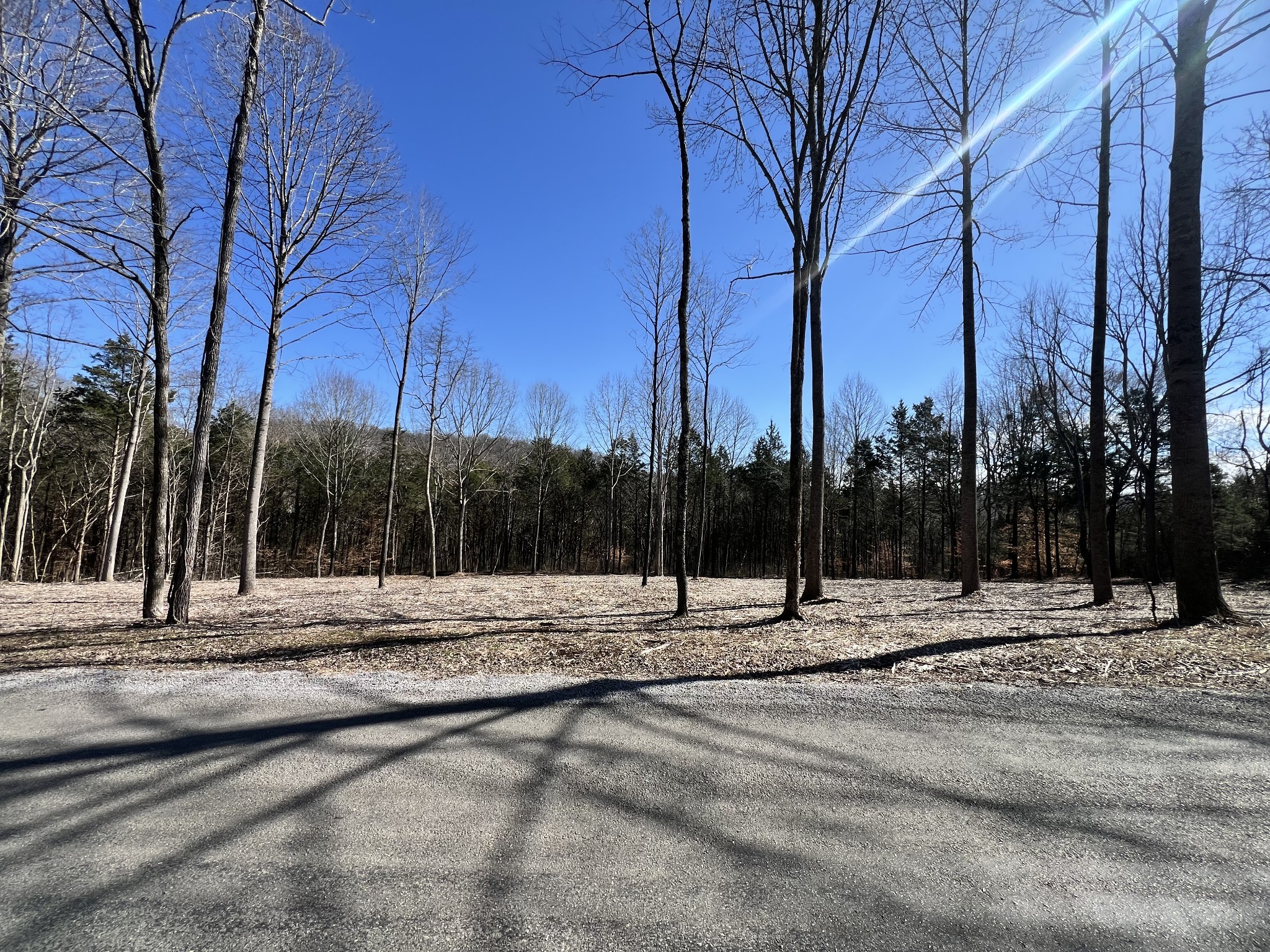 0 Bedford Lake Road Normandy, TN 37360 - Photo 23 of 34