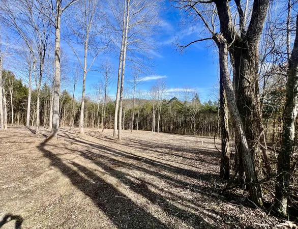 $239,900 | 0 Bedford Lake Road, Normandy, TN 37360