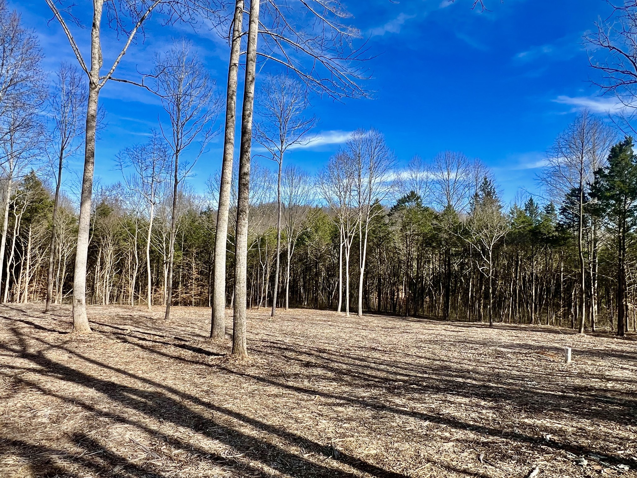 0 Bedford Lake Road Normandy, TN 37360 - Photo 24 of 34