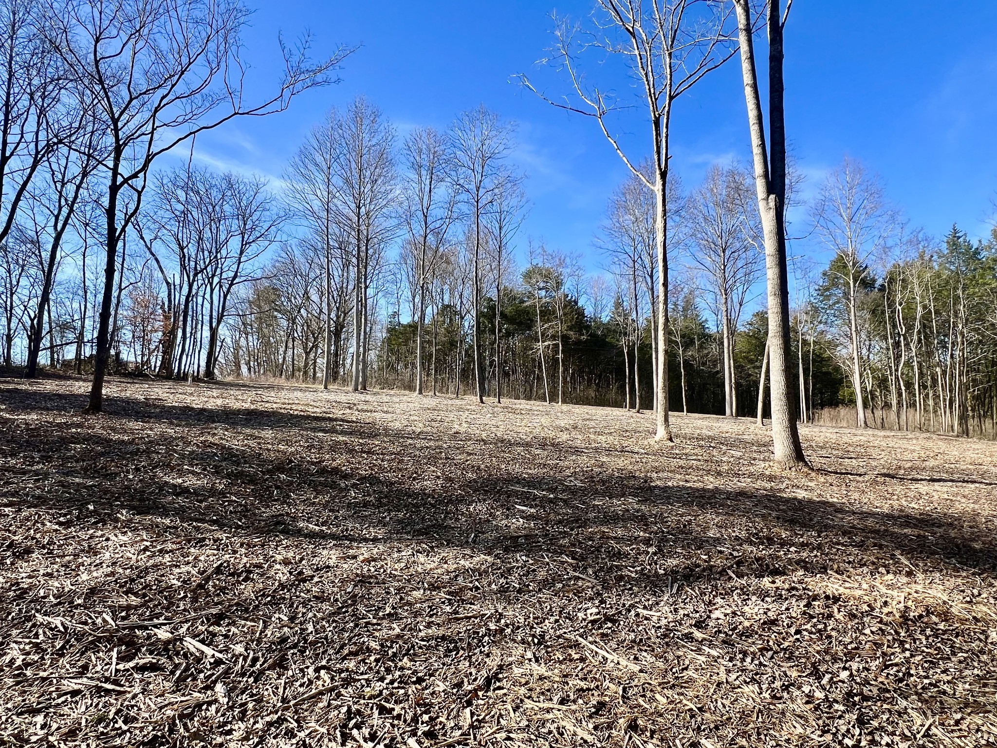 0 Bedford Lake Road Normandy, TN 37360 - Photo 25 of 34
