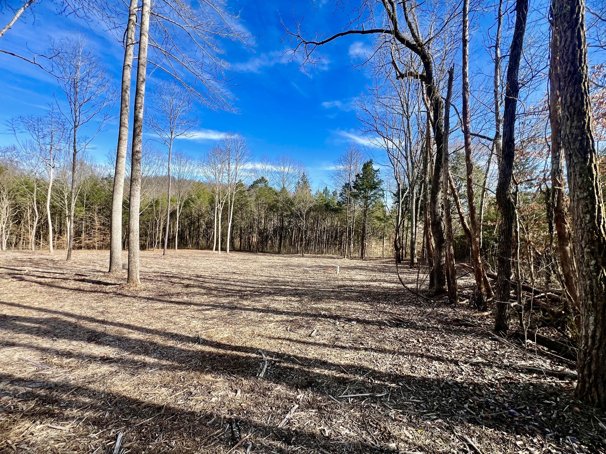 0 Bedford Lake Road Normandy, TN 37360 - Photo 26 of 34