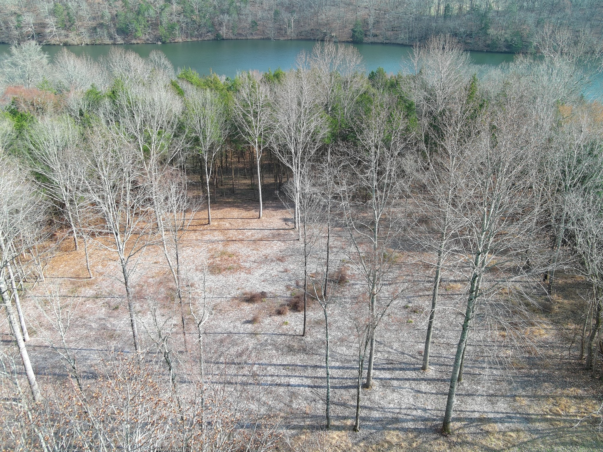 0 Bedford Lake Road Normandy, TN 37360 - Photo 28 of 34
