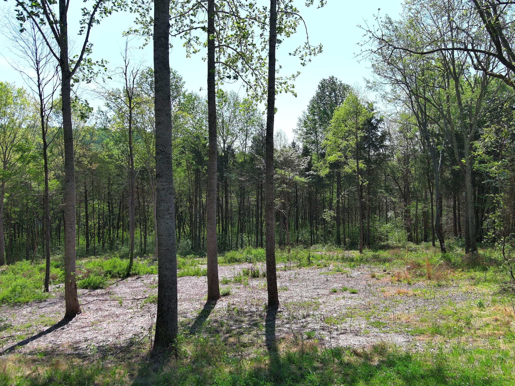0 Bedford Lake Road Normandy, TN 37360 - Photo 3 of 34