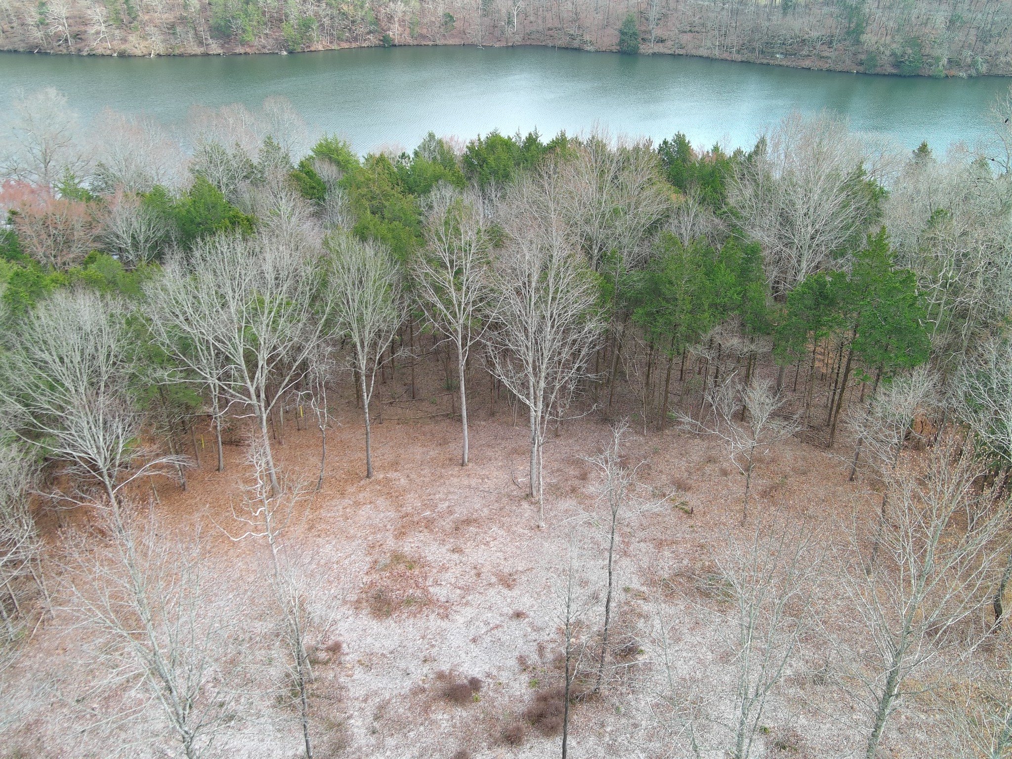 0 Bedford Lake Road Normandy, TN 37360 - Photo 3 of 21