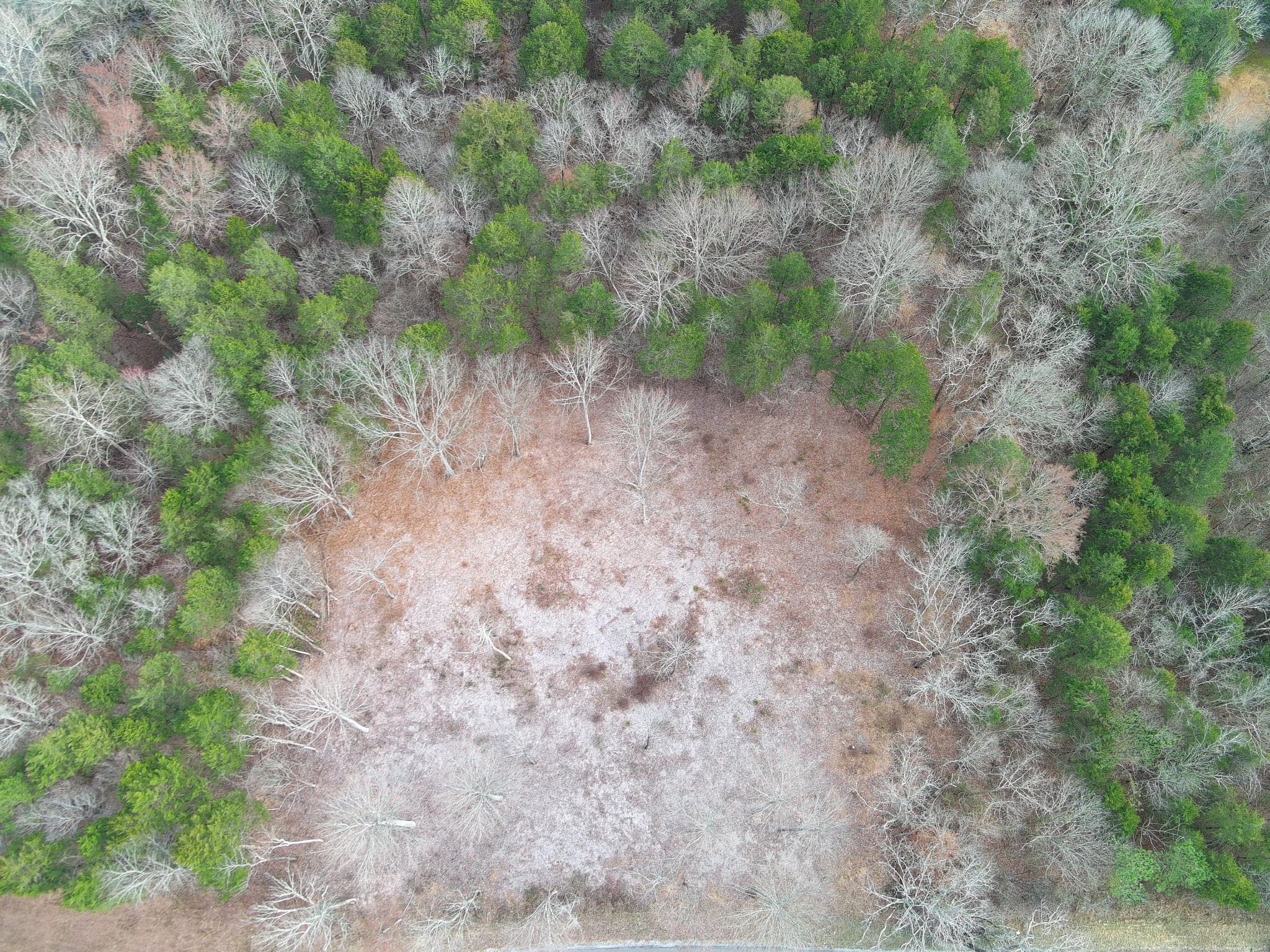 0 Bedford Lake Road Normandy, TN 37360 - Photo 4 of 21