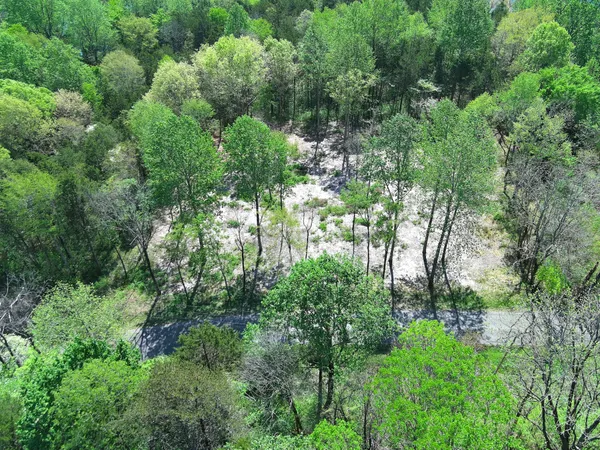 a view of a garden with a lake view