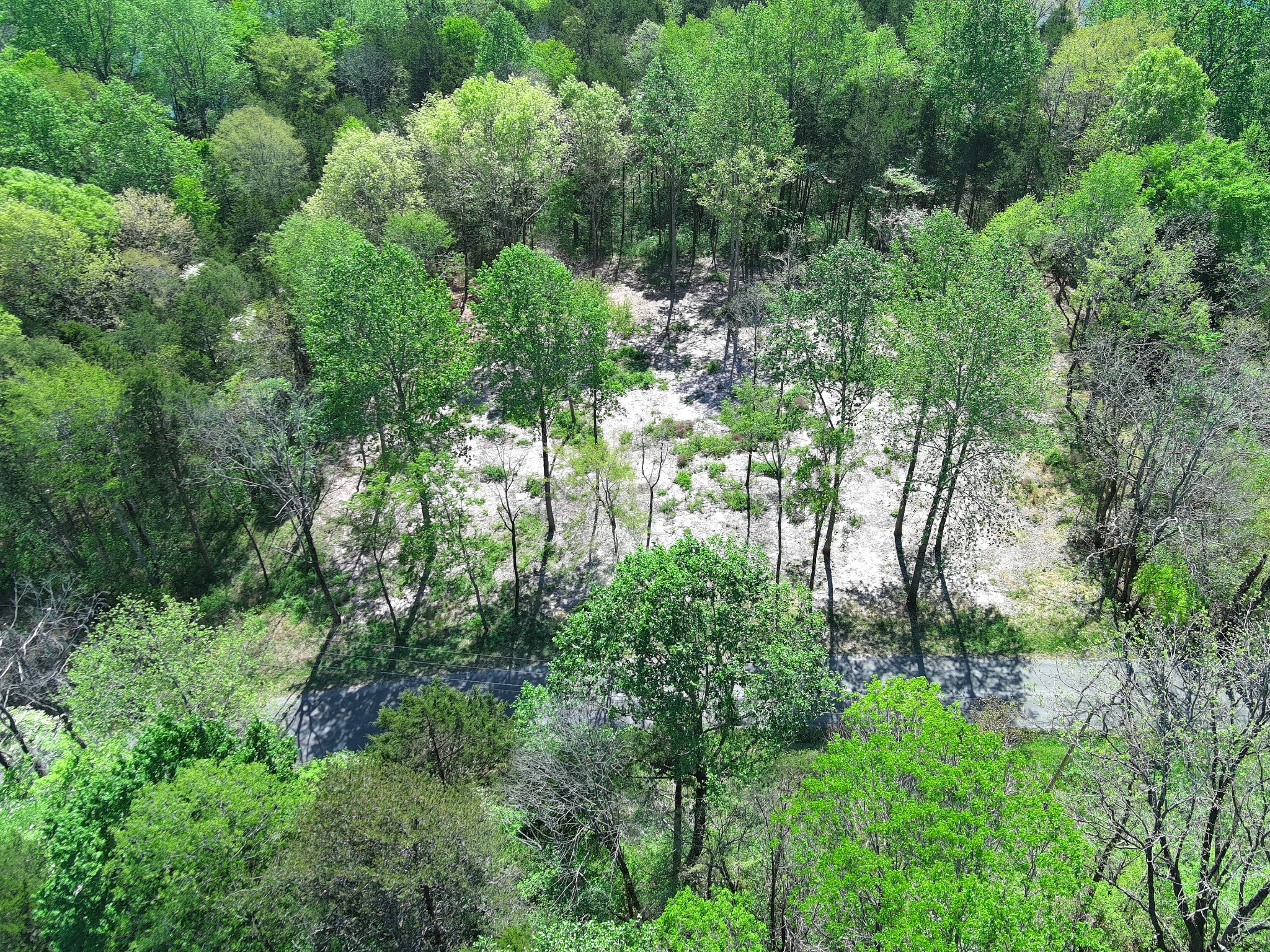 0 Bedford Lake Road Normandy, TN 37360 - Photo 5 of 34