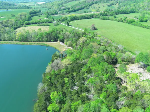 a view of a green field with lots of bushes