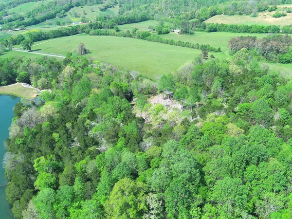 a view of a forest with a lake